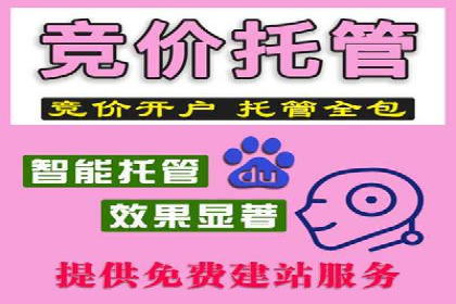 行业领先企业如何运用SEM运营推广